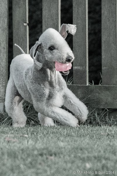 2014-03-14 Svet-8071-1.jpg